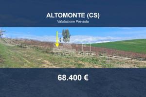 Immobile in asta di 51760 m² a Altomonte