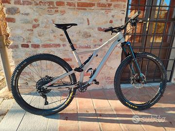 Specialized Stumpjumper 29