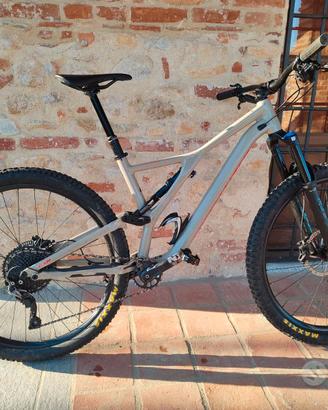 Specialized Stumpjumper 29