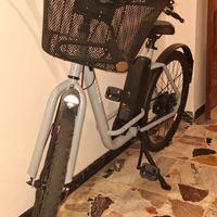 Bici Elettrica Everide