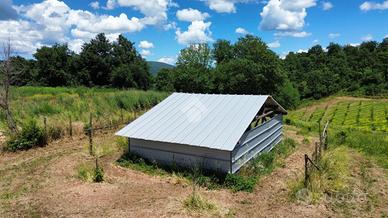 TER. AGRICOLO A BRACCIANO