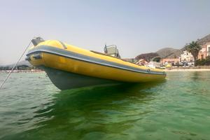 Joker boat coaster 470