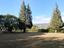 Immagine 28
