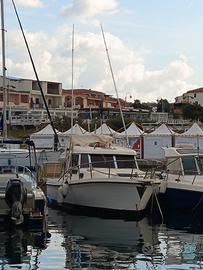 Vegliatura 27