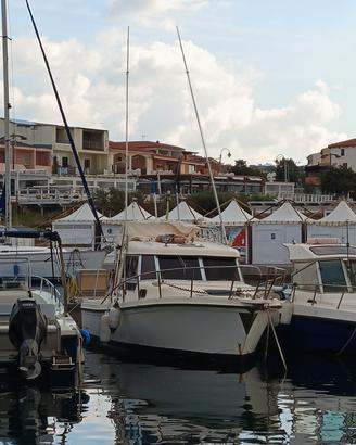 Vegliatura 27