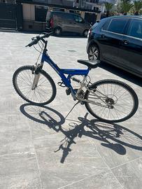 Mountain Bike Blu Misura 24