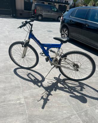 Mountain Bike Blu Misura 24