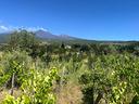 terreno-santa-venerina