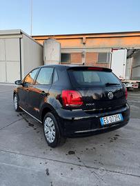 Polo 2013 neopatentati