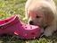 Immagine 8