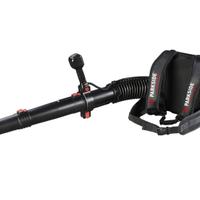Parkside Performance X20V Soffiatore a Batteria