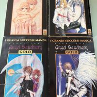 Angel Sanctuary manga