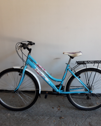Bicicletta VeloMarche Graphic ruote 26