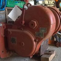 Verricello forestale