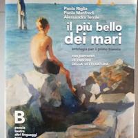 Il più bello dei mari origini della letteratura