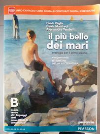 Il più bello dei mari origini della letteratura