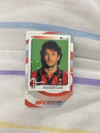 Scheda telefonica maurizio ganz