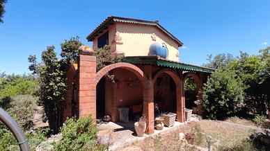 Casa - Oliveto - Frutteto