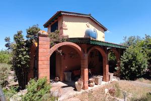 Casa - Oliveto - Frutteto