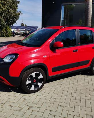 Fiat Panda 1.0 firefly hybrid Sport s&s 70cv