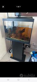 Acquario Tetra 80L