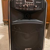 Cassa altoparlante GEYGUY Bluetooth 12” 20W