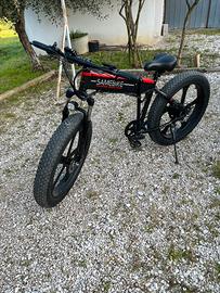 E-Bike. SAMEBIKE