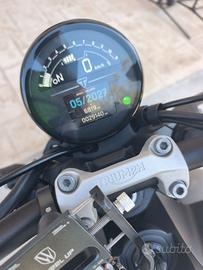 Trident 660 Triumph - Bianco 2021