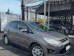Ford C-Max 1.6 TDCi 115CV Titanium
