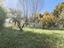 Immagine 23