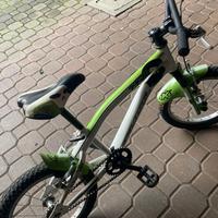 bicicletta mtb bambino raggio 16