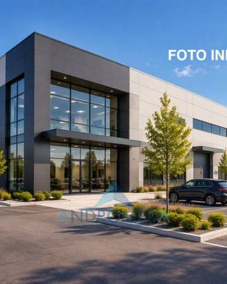 Immobile di 1500 m² con 4 locali a Cardito