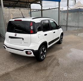 Panda Cross anno 2020