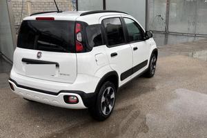 Panda Cross anno 2020