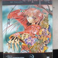 manga the record of fallen vampire 