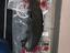 Immagine 26