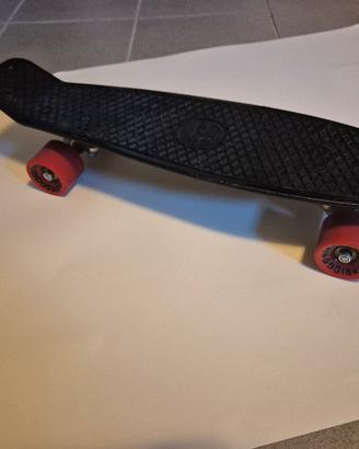 mini skate ridge nuovo