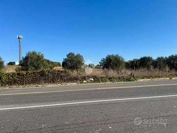 TER. AGRICOLO A ROMA