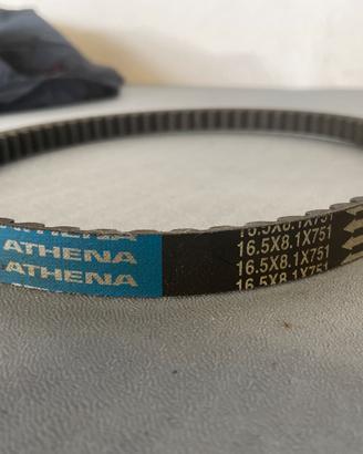 Cinghia di trasmissione Athena 16.5x8.1x751