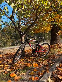 Bici Bluster