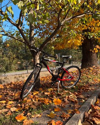 Bici Bluster