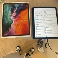 iPad Pro 12.9 WI-fi + cellular