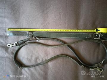 guinzaglio più collare