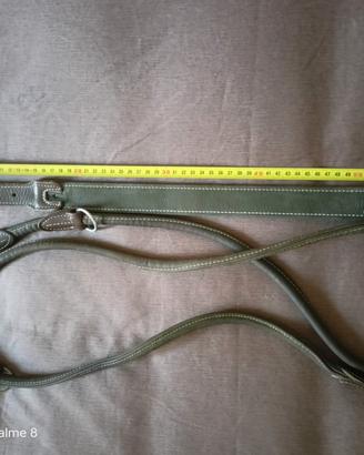 guinzaglio più collare