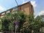 Immagine 23