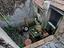 Immagine 12