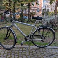 bici da città 
