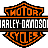 HARLEY DAVIDSON FIBIA originale
