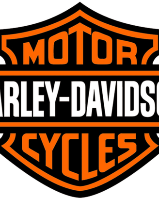 HARLEY DAVIDSON FIBIA originale