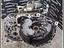 Immagine 4
